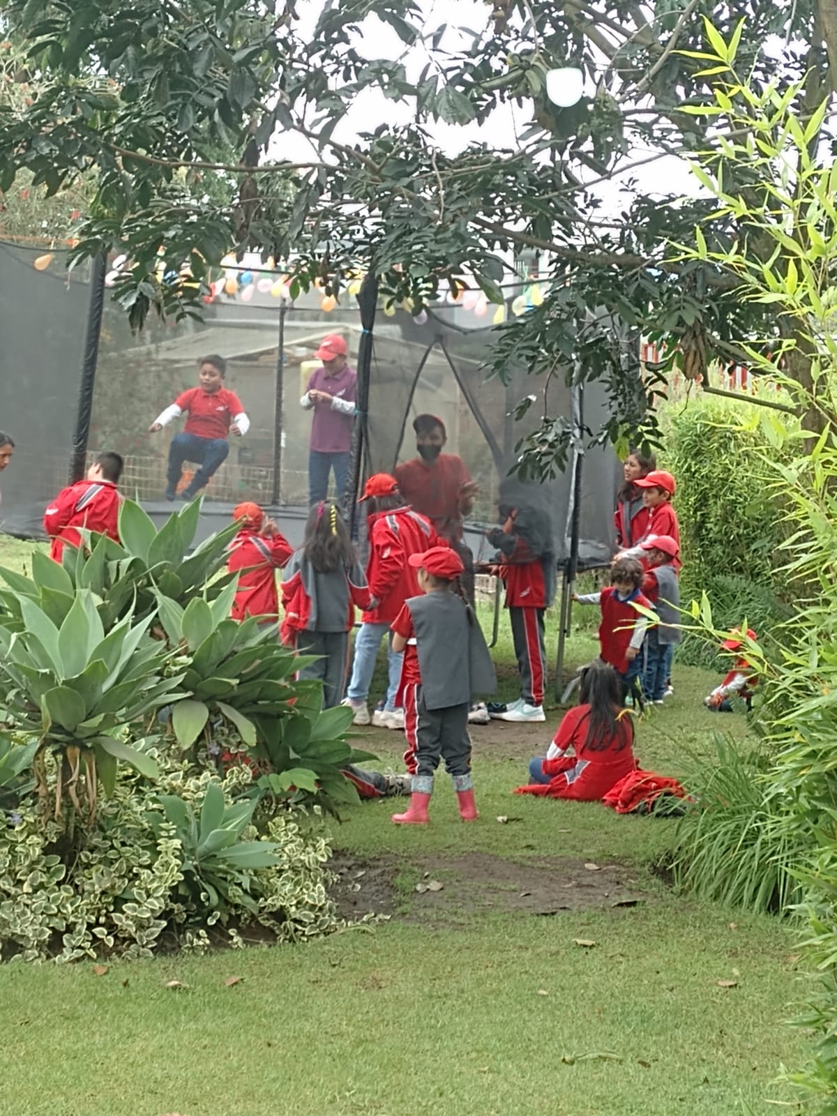 Dia de las matematicas skas 29