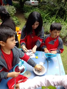 Dia de las matematicas skas 3