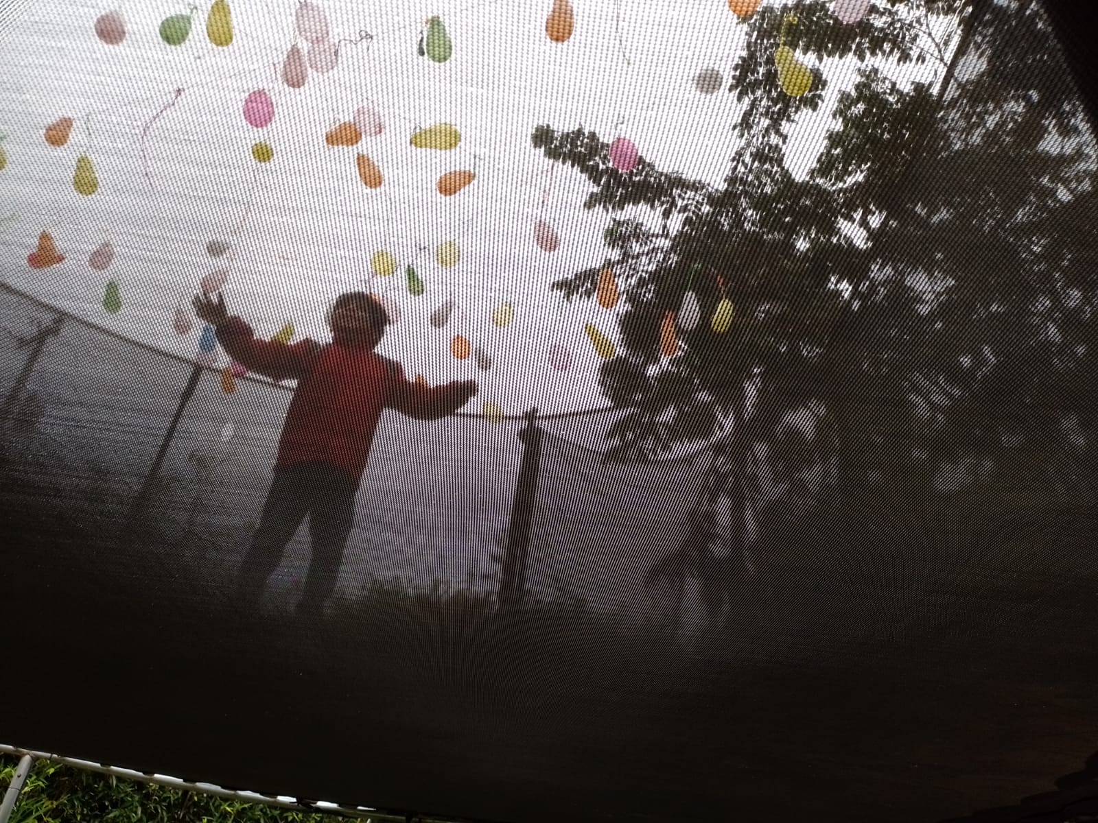 Dia de las matematicas skas 51