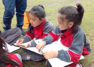 Dia de las matematicas skas 6