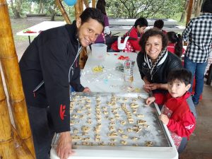 Dia de las matematicas skas 7