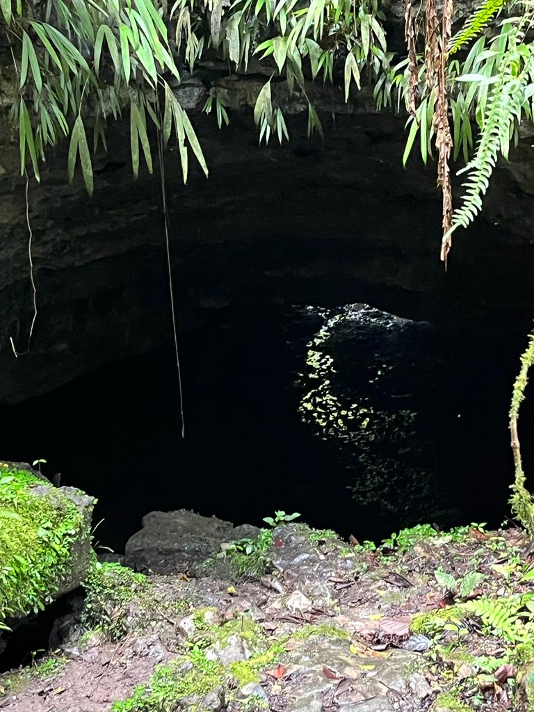 SALIDA DE CAMPO - CASA DE NIÑOS II (24)