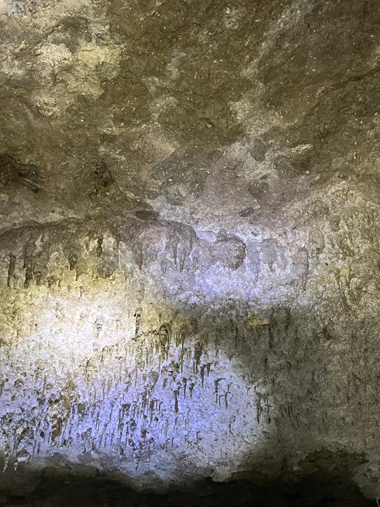 SALIDA DE CAMPO - CASA DE NIÑOS II (29)