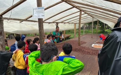 SALIDA DE CAMPO – CASA DE NIÑOS II