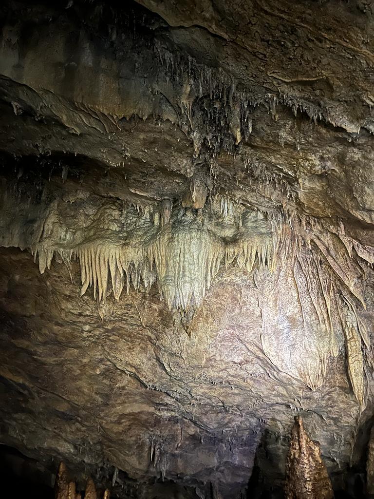 SALIDA DE CAMPO – ERDKINDER (18)