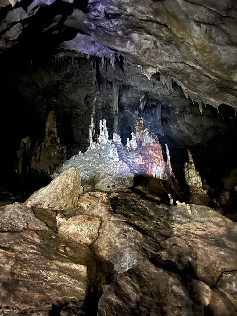 SALIDA DE CAMPO – ERDKINDER (20)