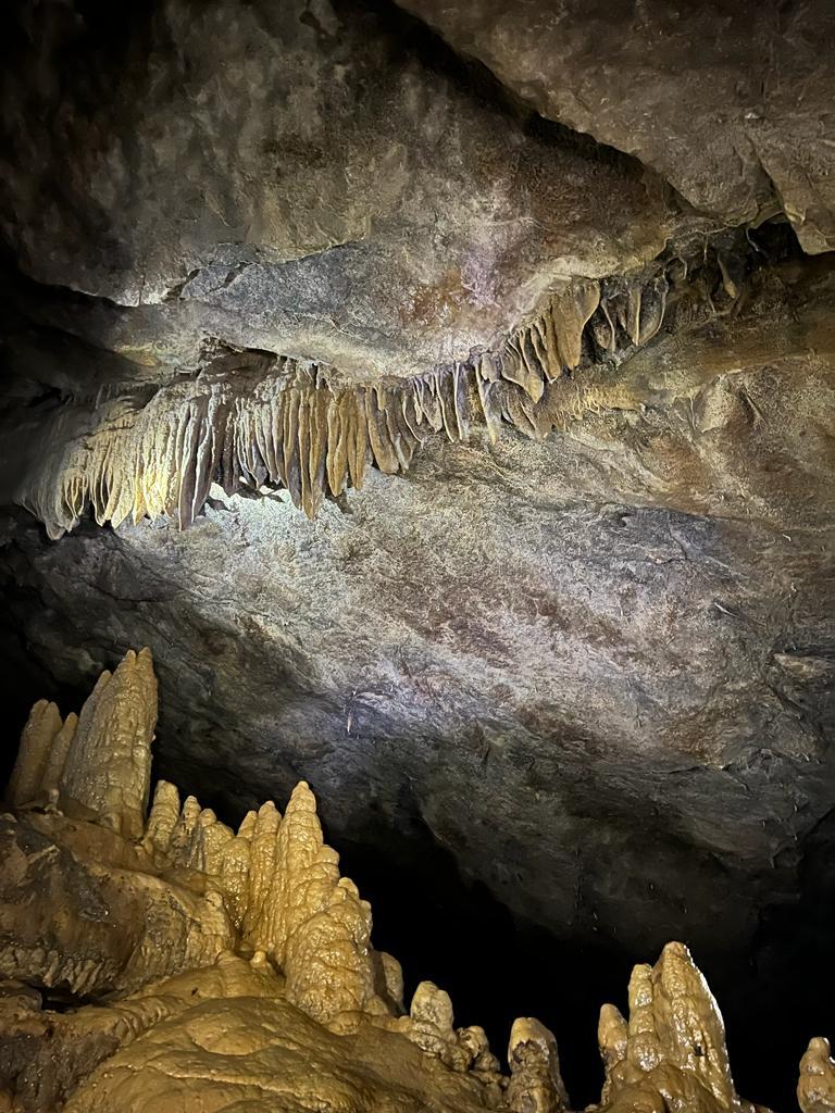 SALIDA DE CAMPO – ERDKINDER (24)