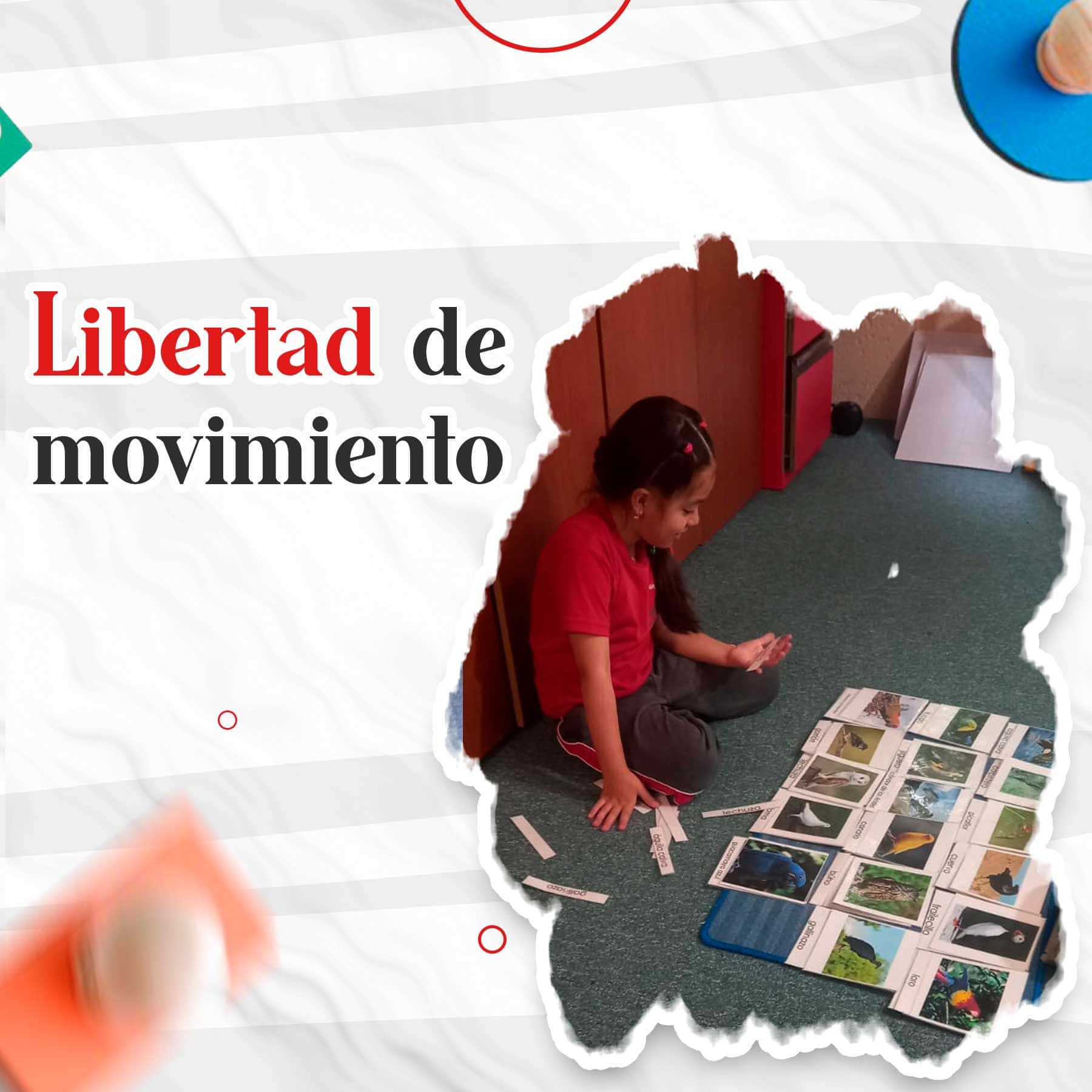 principios_montessorianos(4)