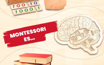 Transformando la Educación: El Enfoque Montessori