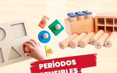 La Clave del Aprendizaje: Períodos Sensibles según Montessori