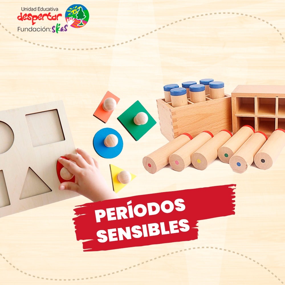 Períodos Sensibles(1)