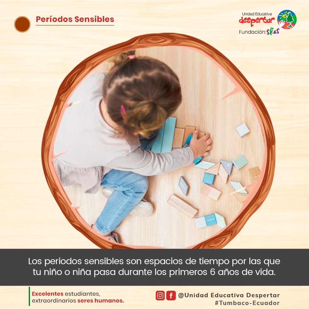 Períodos Sensibles(2)