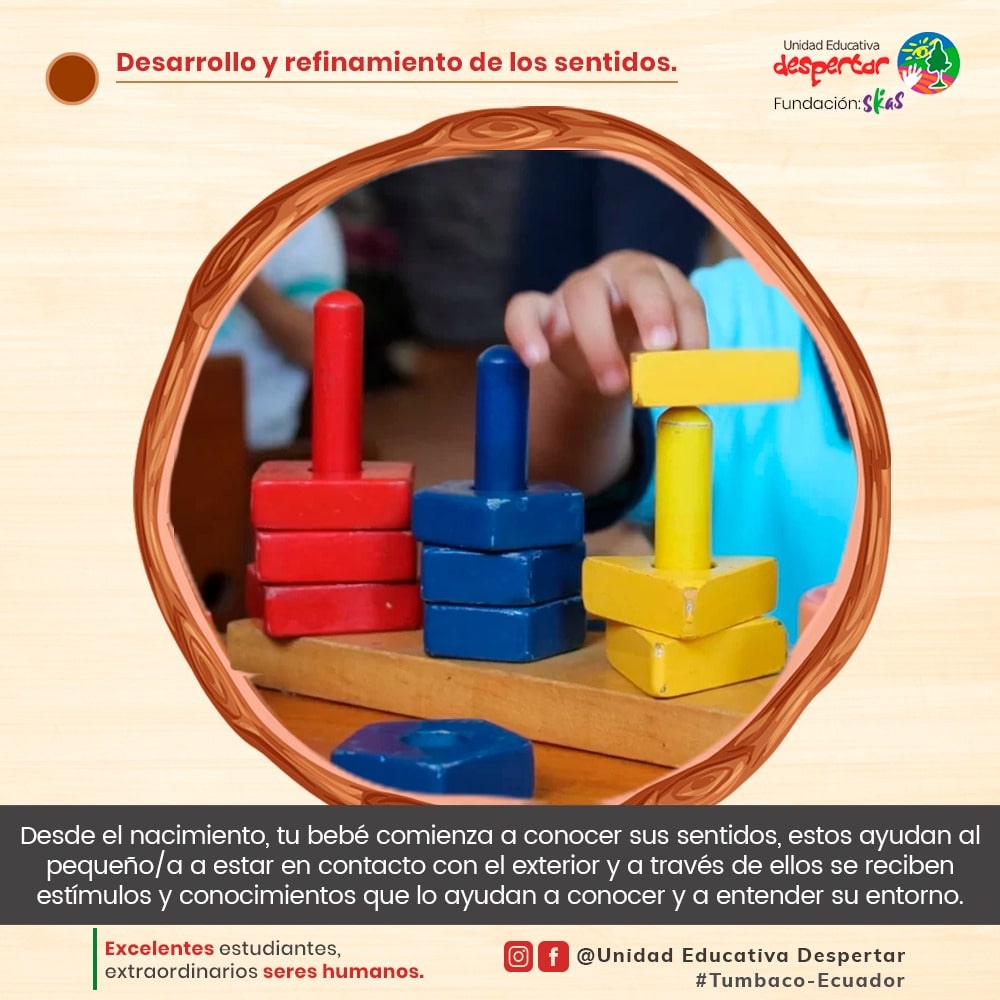 Períodos Sensibles(5)